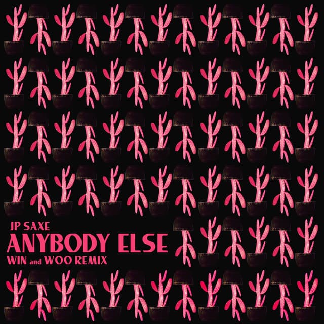 Anybody Else (Win and Woo Remix) cover