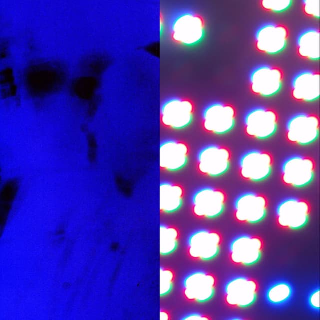 Forever (Tom VR Remix) cover