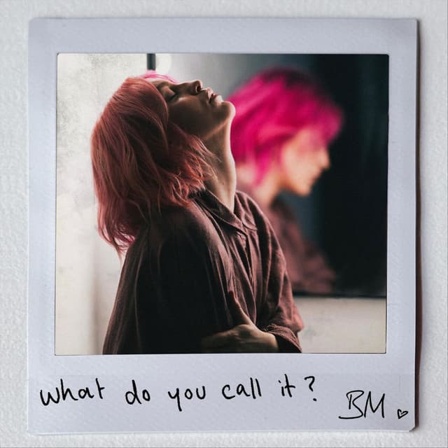 What Do You Call It? cover