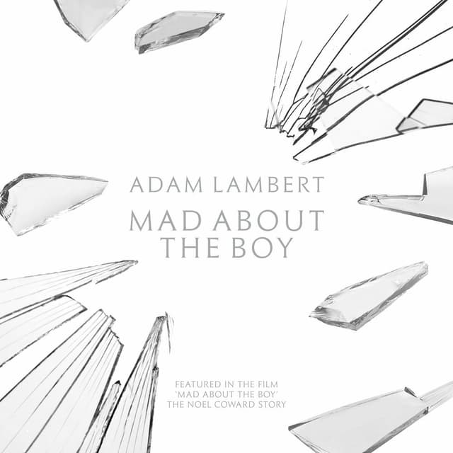 Mad About the Boy album cover