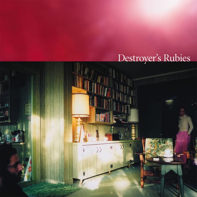 Destroyer's Rubies cover