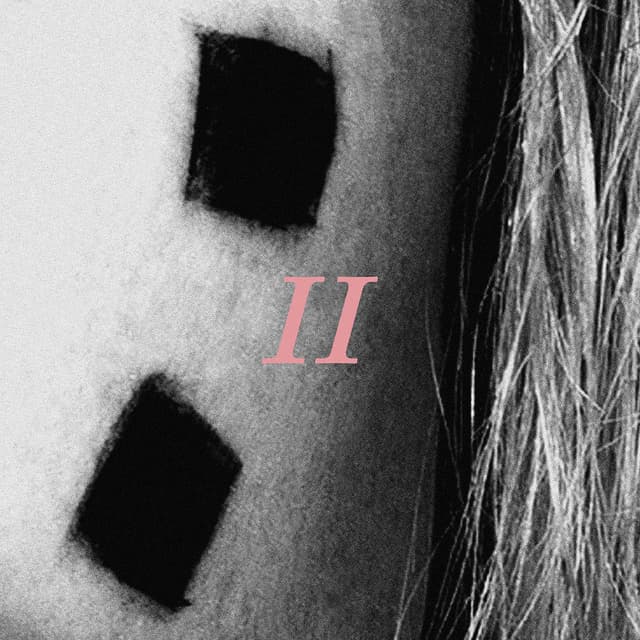 Petals For Armor II cover