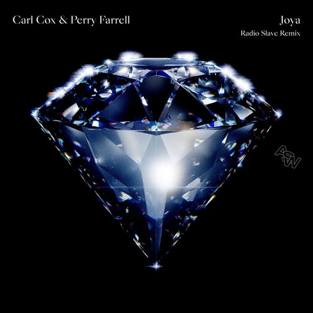 Joya (Radio Slave Remix) cover