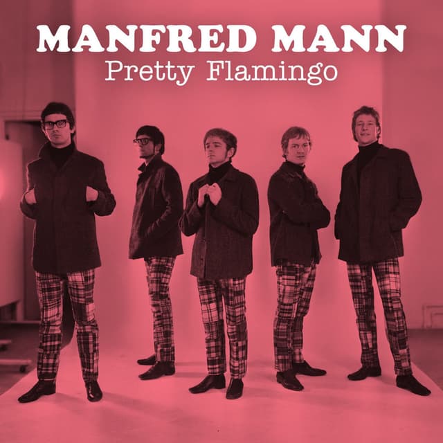 Pretty Flamingo album cover