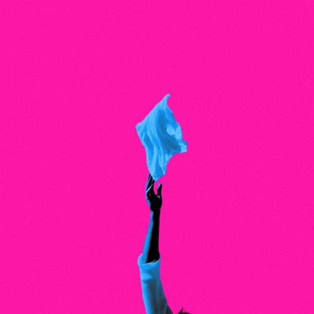 Fling It Up cover