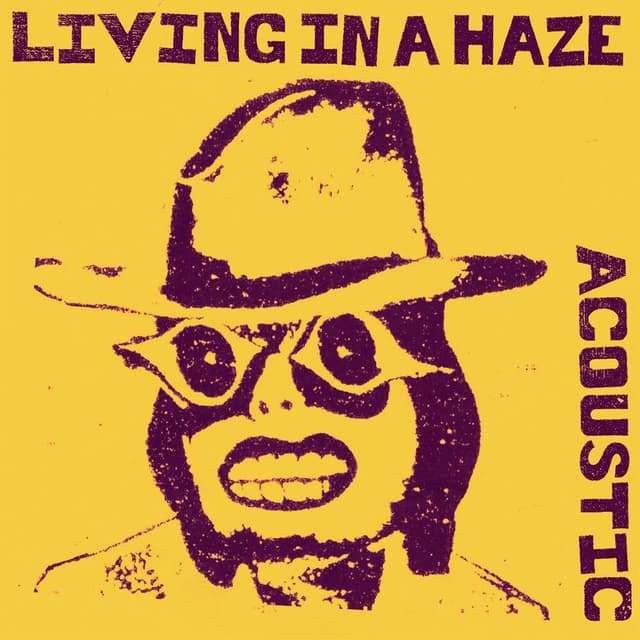 Living In A Haze (Acoustic Version) cover