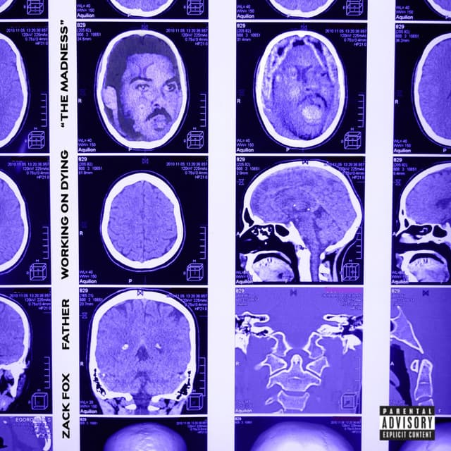 The Madness cover