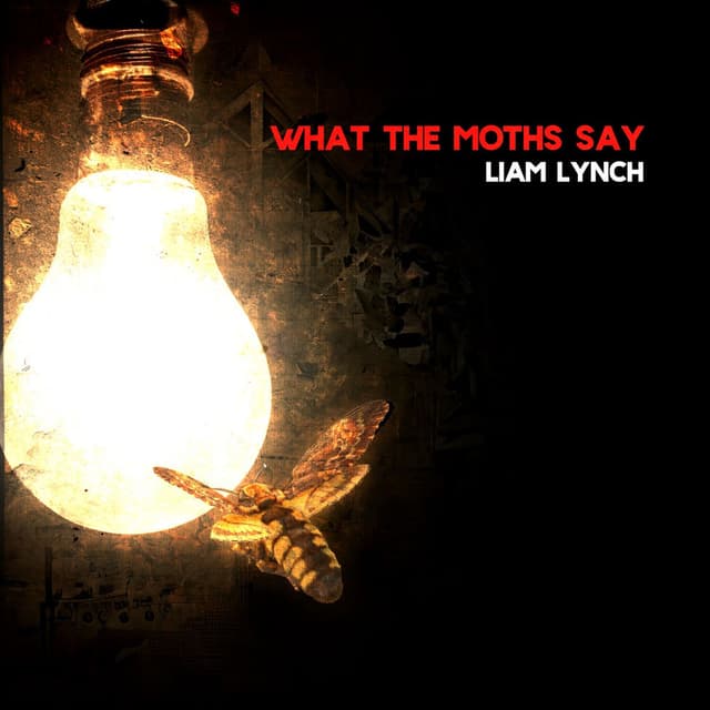 What The Moths Say cover