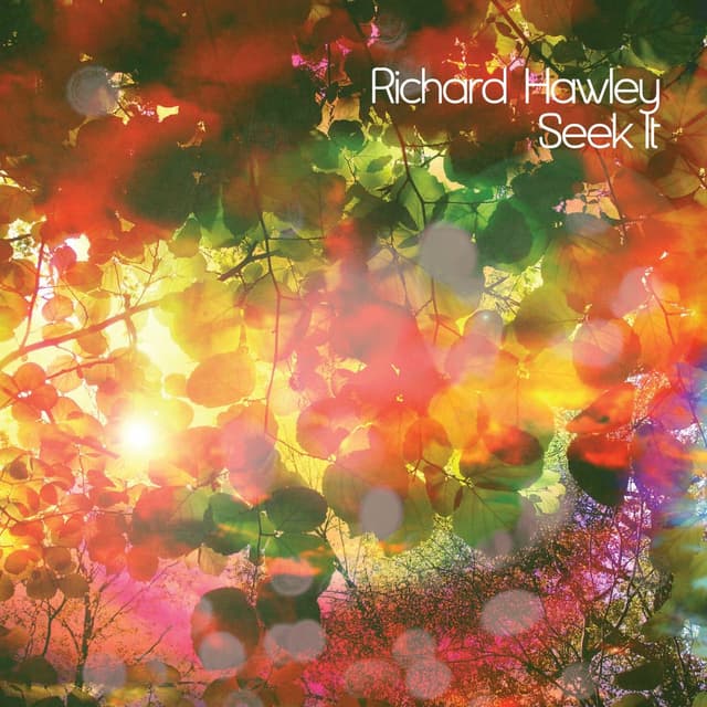 Seek It cover
