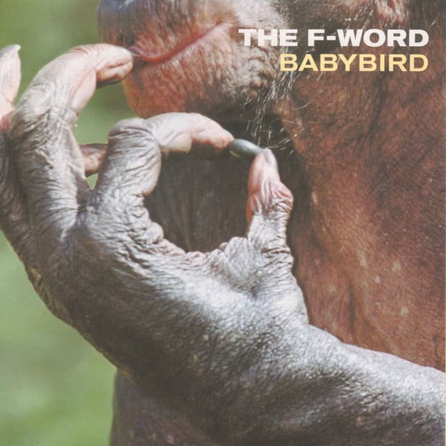 The F-Word cover
