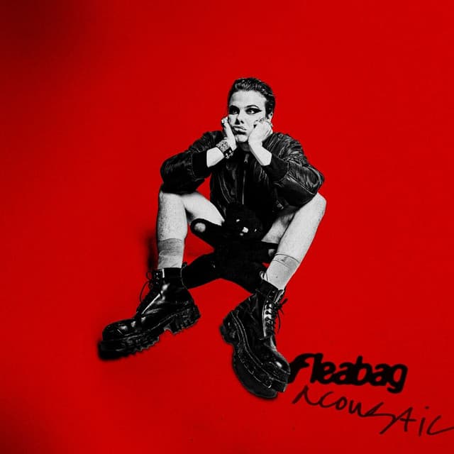 fleabag (acoustic) cover
