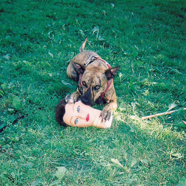 Cody album cover