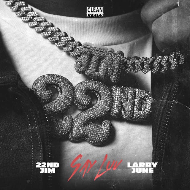Say Luv cover