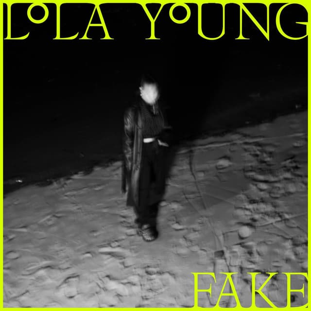FAKE cover