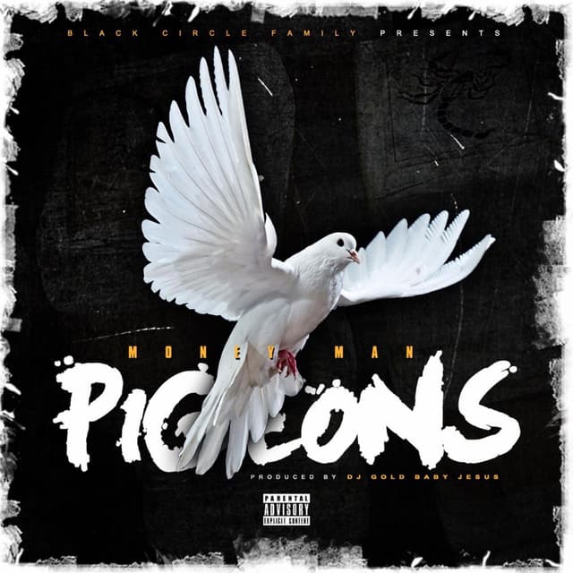 Pigeons cover