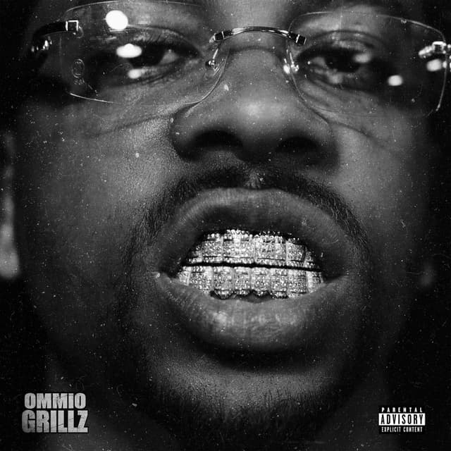OMMIO Grillz cover
