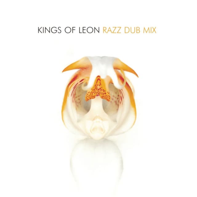 Razz (Dub Mix) album cover