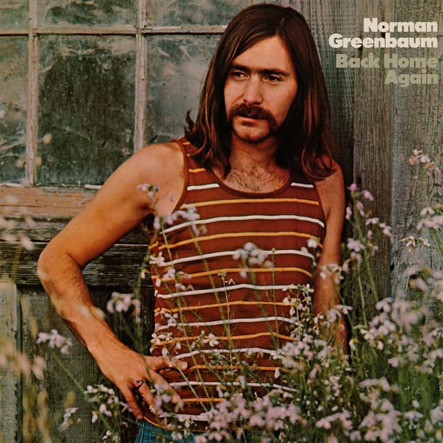 Back Home Again album cover