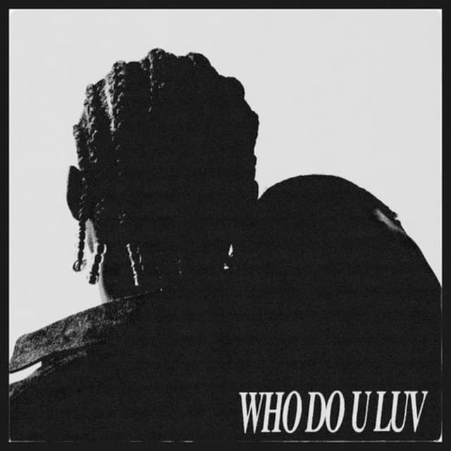 WHO DO U LUV cover