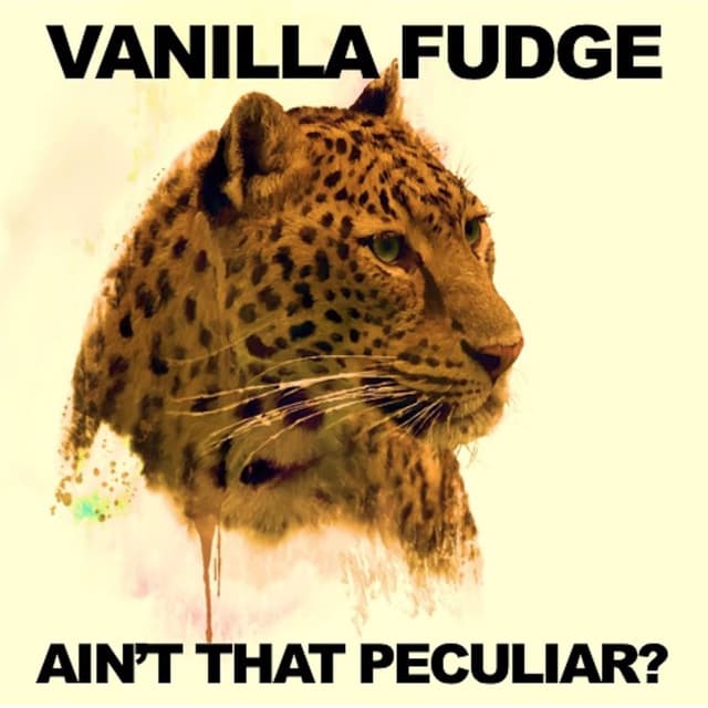 Ain't That Peculiar (Extended Album Version) cover