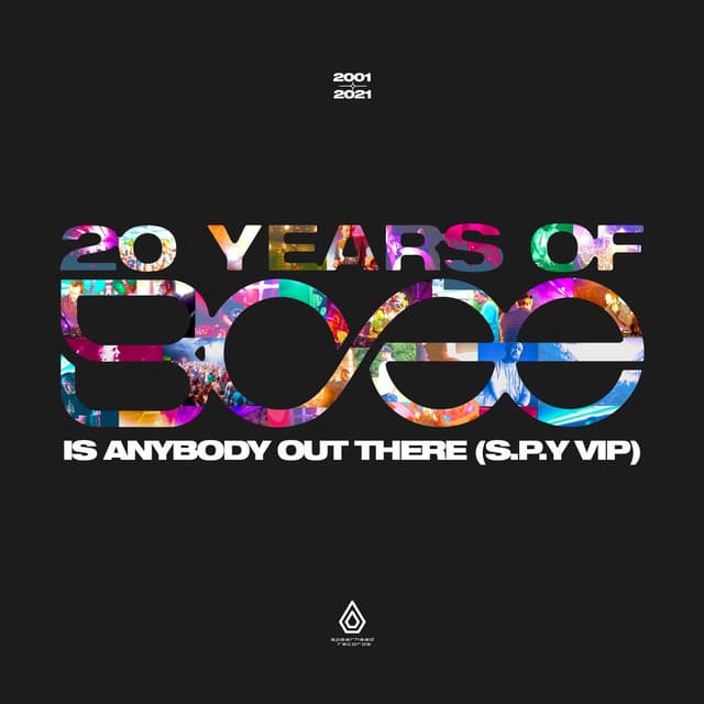 Is Anybody out There? (S.P.Y VIP) cover