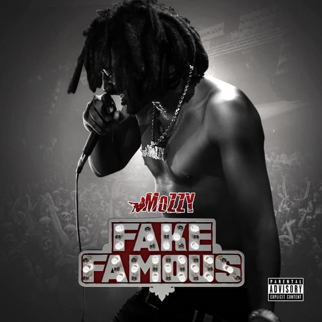 Fake Famous cover