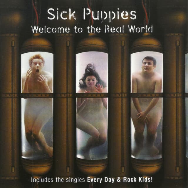 Welcome to the Real World cover