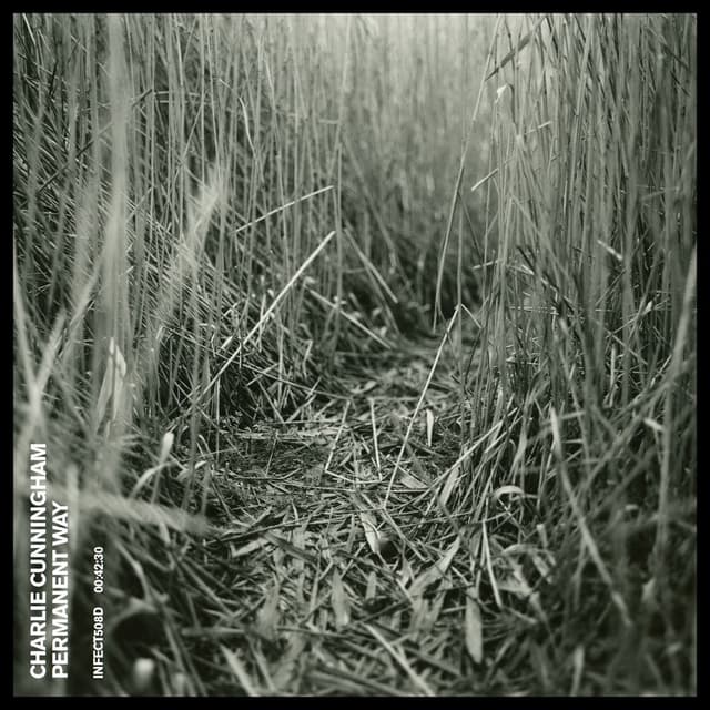 Permanent Way album cover
