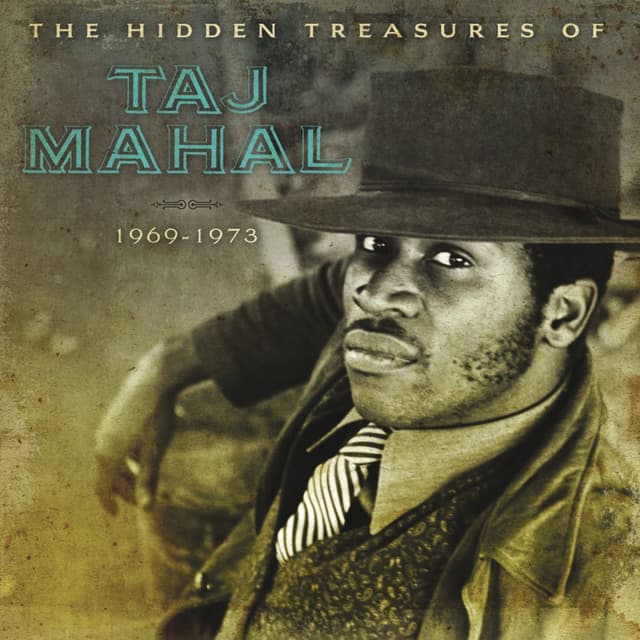 The Hidden Treasures Of Taj Mahal cover