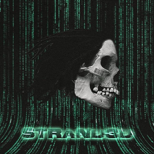Strand3d cover
