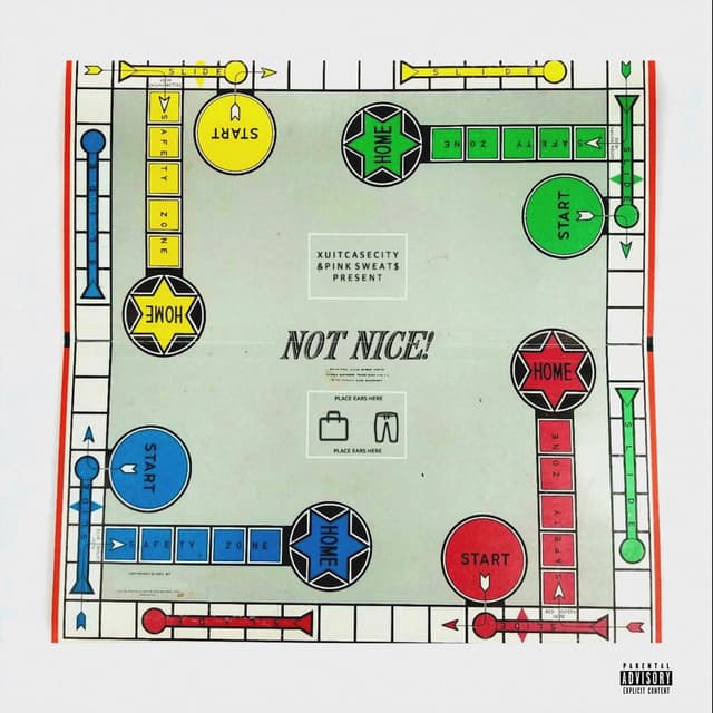 Not Nice cover