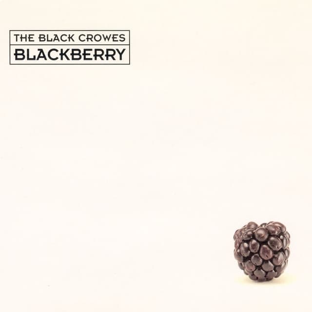 Blackberry cover