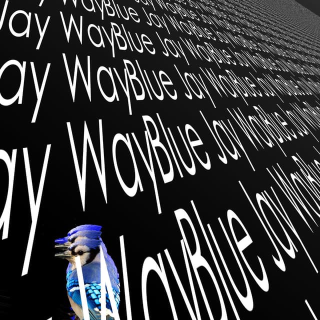 Blue Jay Way cover