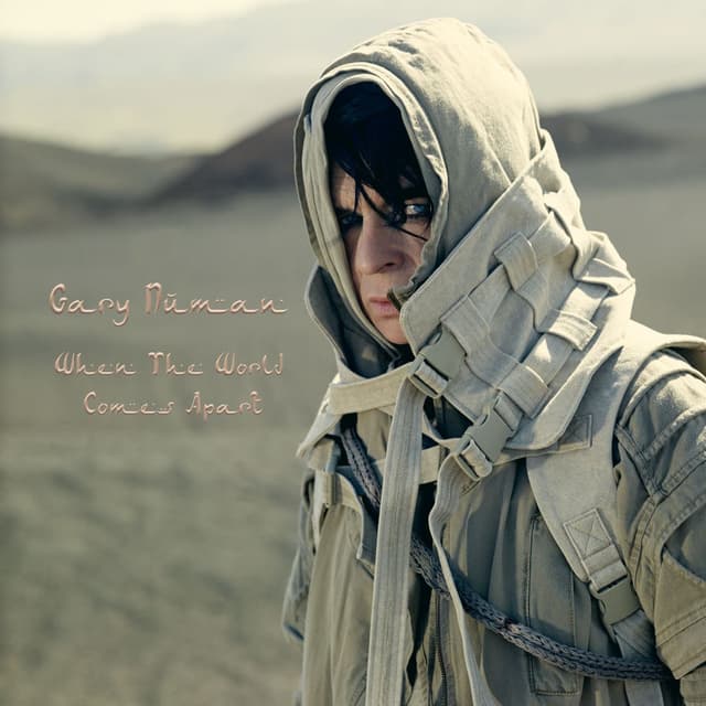 When the World Comes Apart cover