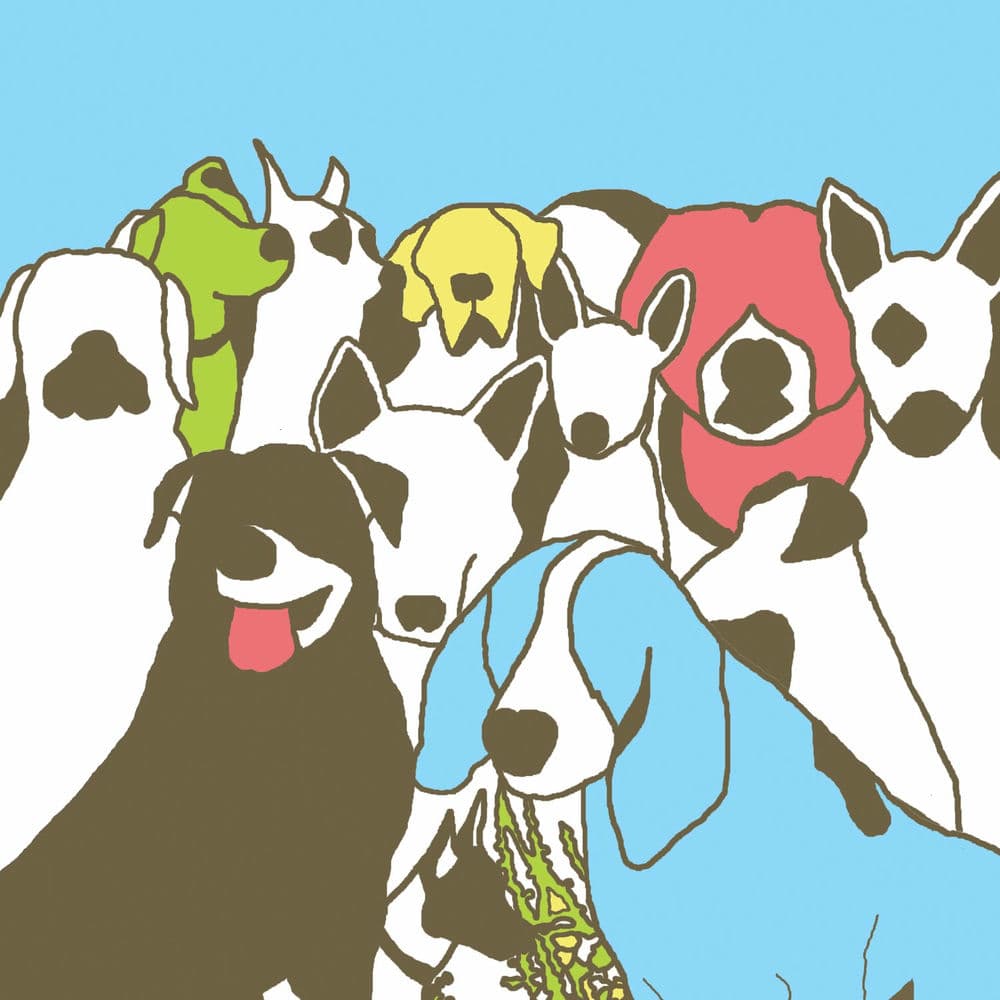Dog Problems cover