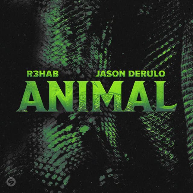 Animal (Extended Mix) album cover