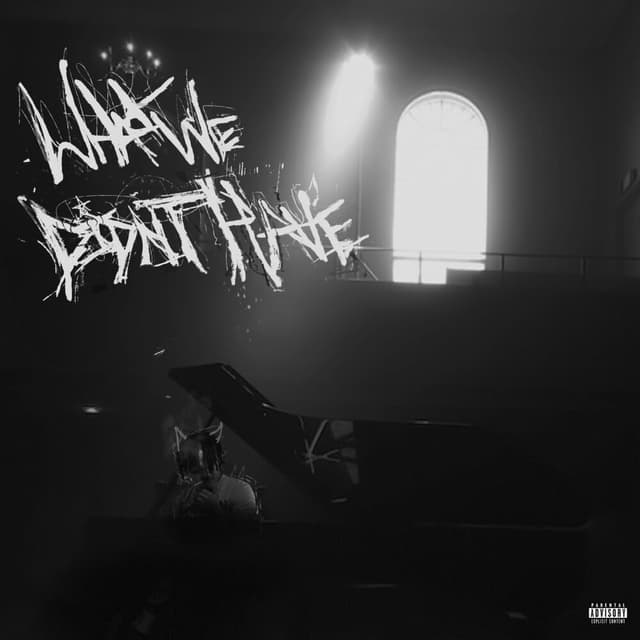 What We Didn't Have cover