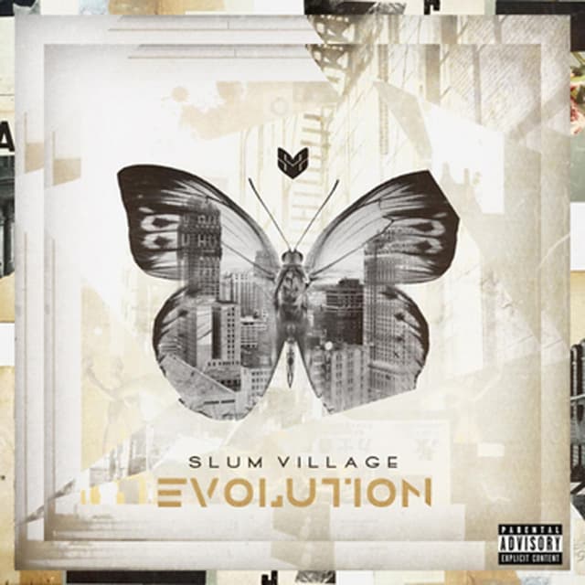 Evolution cover