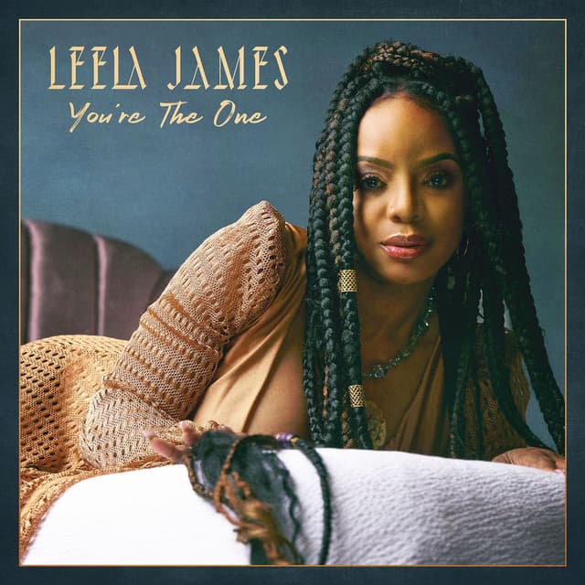 You're The One cover