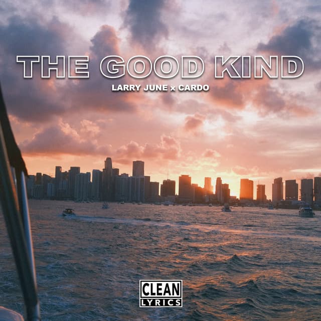 The Good Kind cover