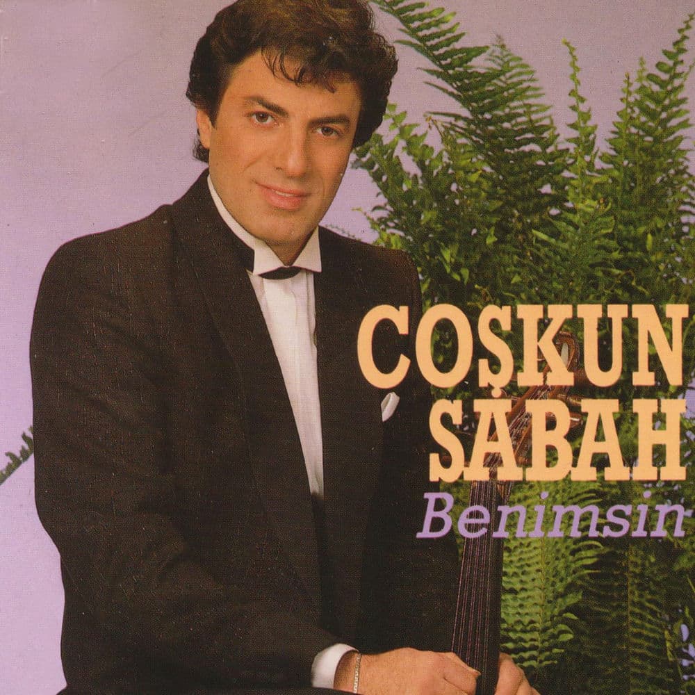 Benimsin cover