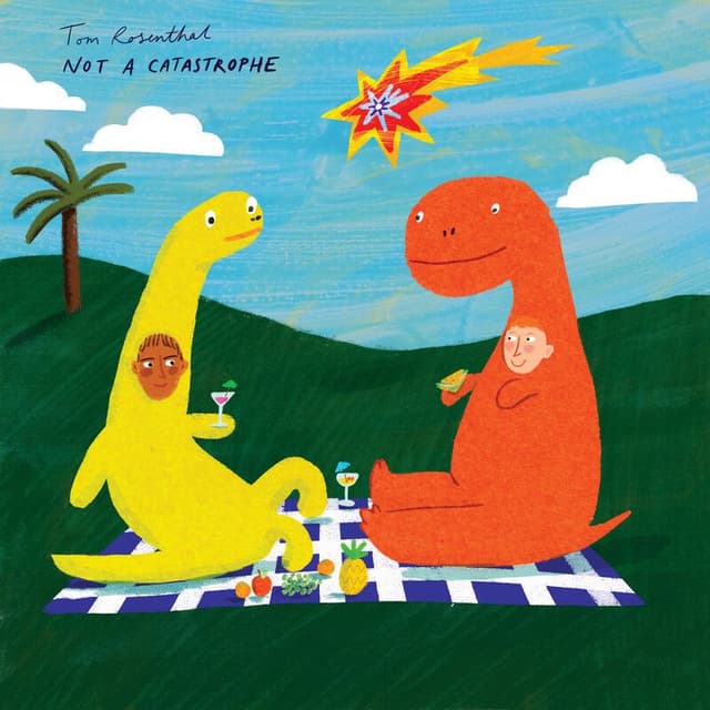 Not a Catastrophe cover