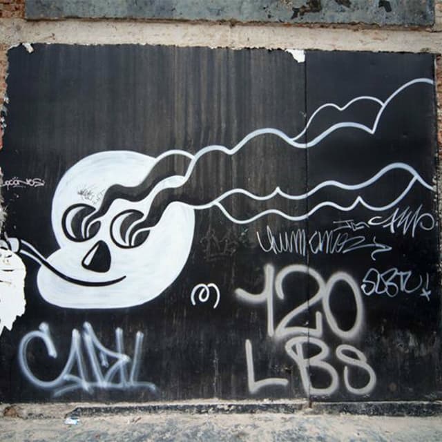 Bota Bota cover