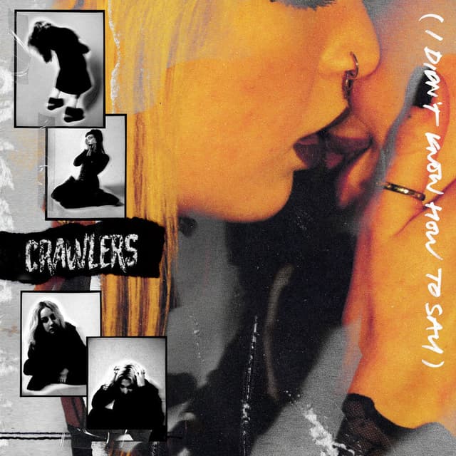 I Didn’t Know How To Say cover