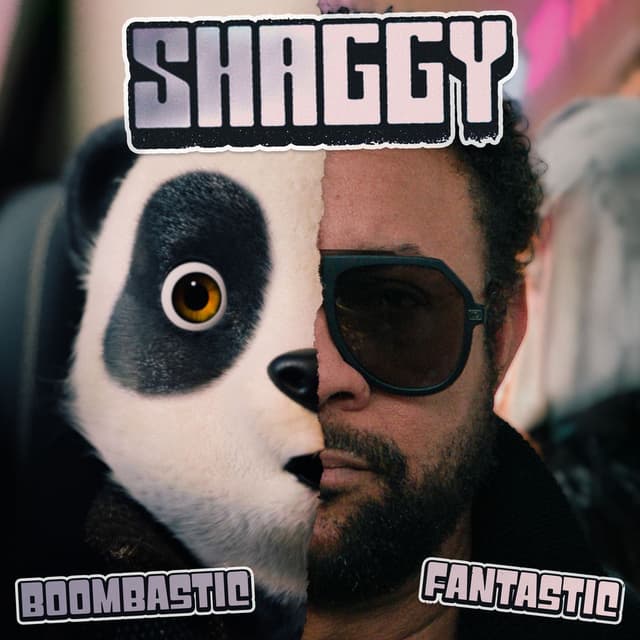 Boombastic (Fantastic) cover