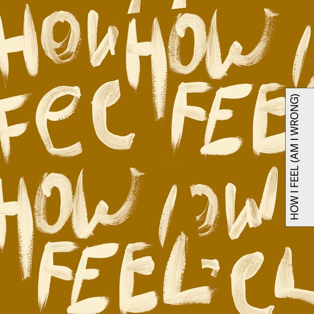 How I Feel (Am I Wrong) cover