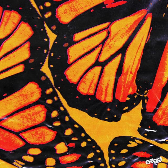 Butterflies cover