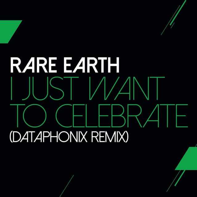 I Just Want To Celebrate (Dataphonix Remix) cover