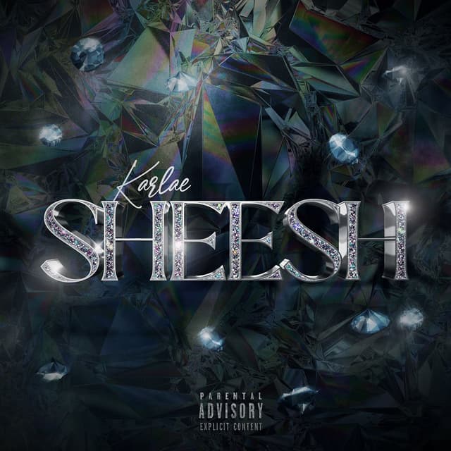 Sheesh cover