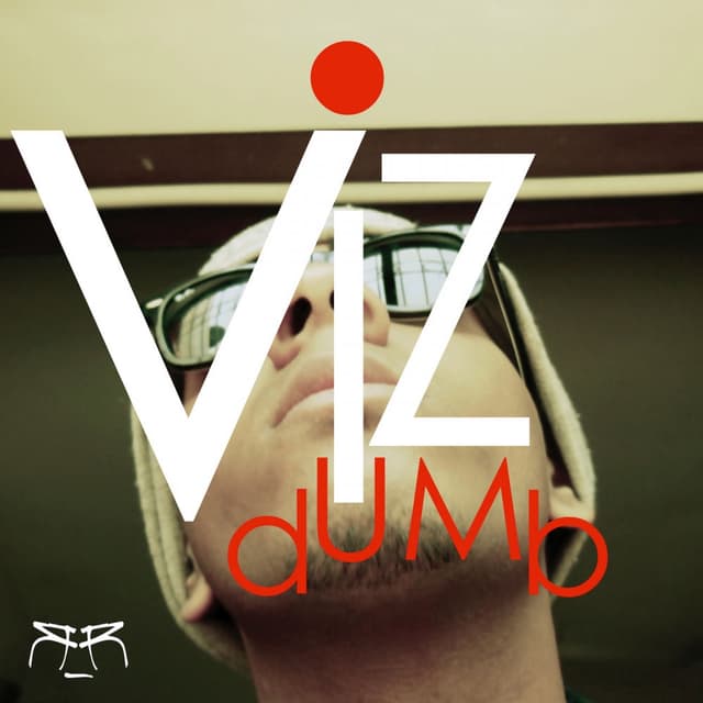 Vizdumb cover